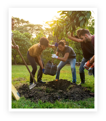 AdobeStock 164651619