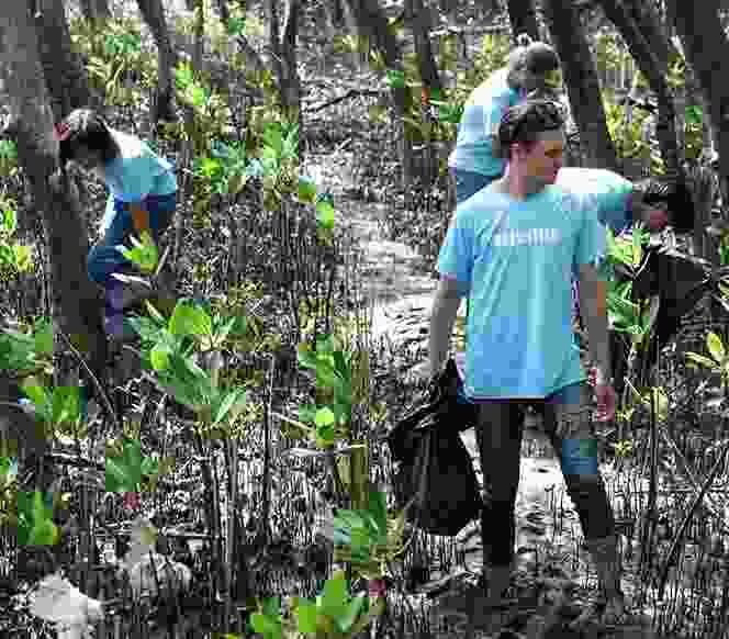 Donation Detail 01 2