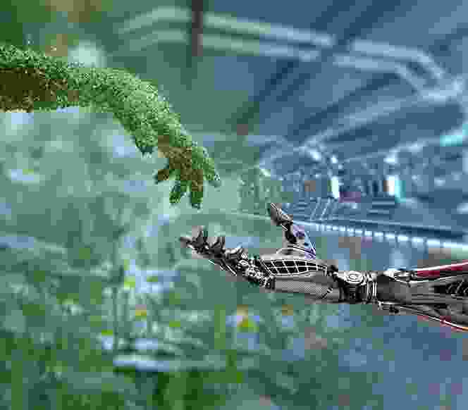 Donation Detail 01 4